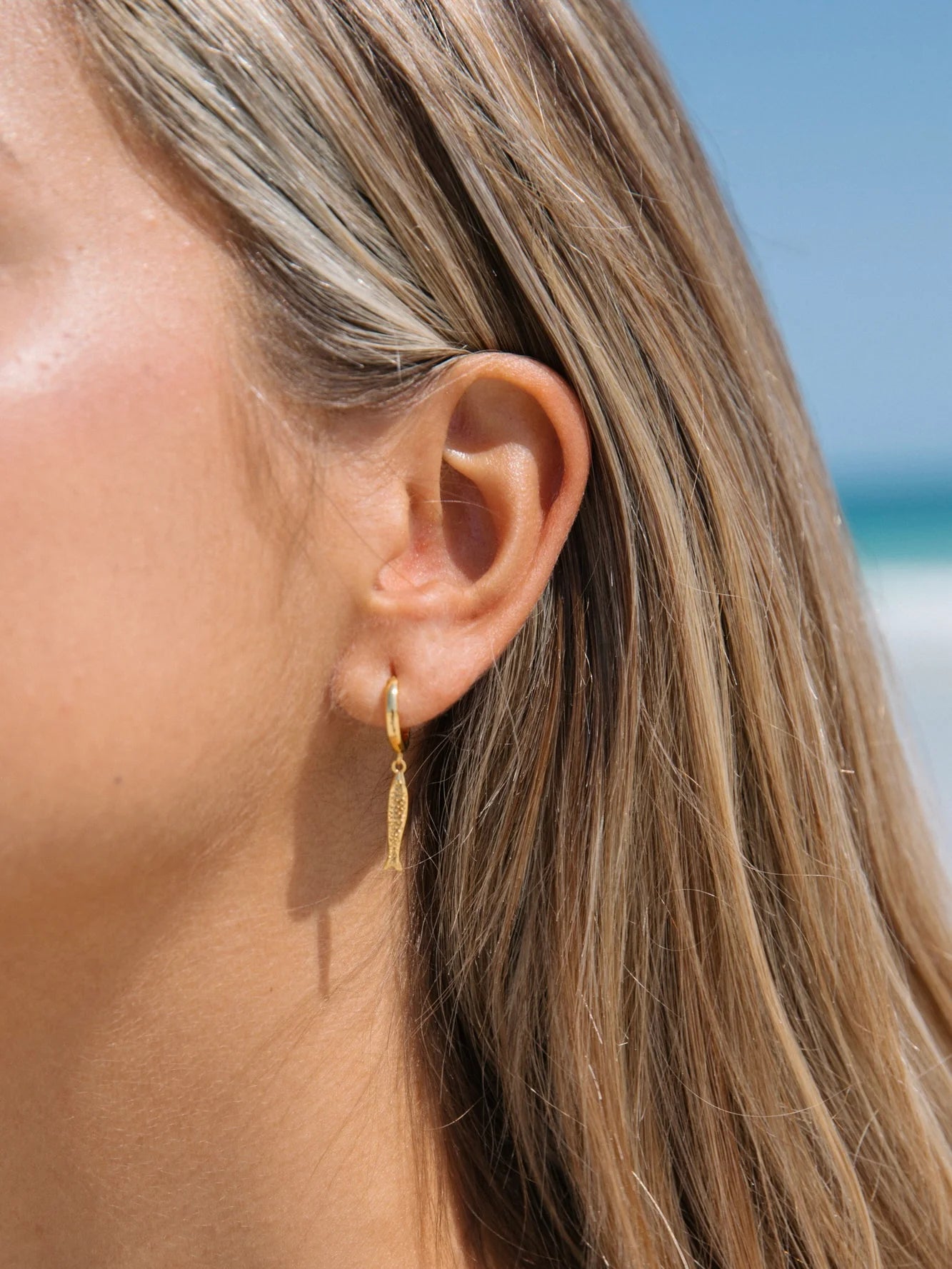 Sardine Hoops in 18k Gold Vermeil