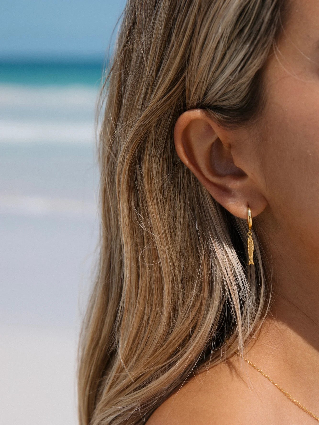 Sardine Hoops in 18k Gold Vermeil