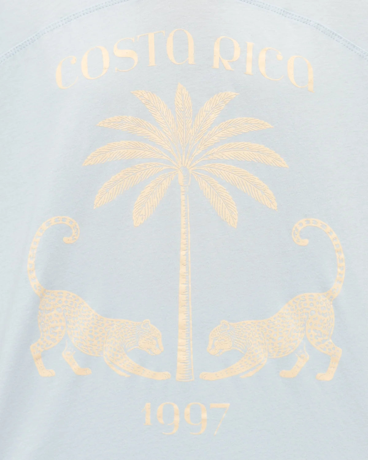 Costa Rica Dreams Tee Blue