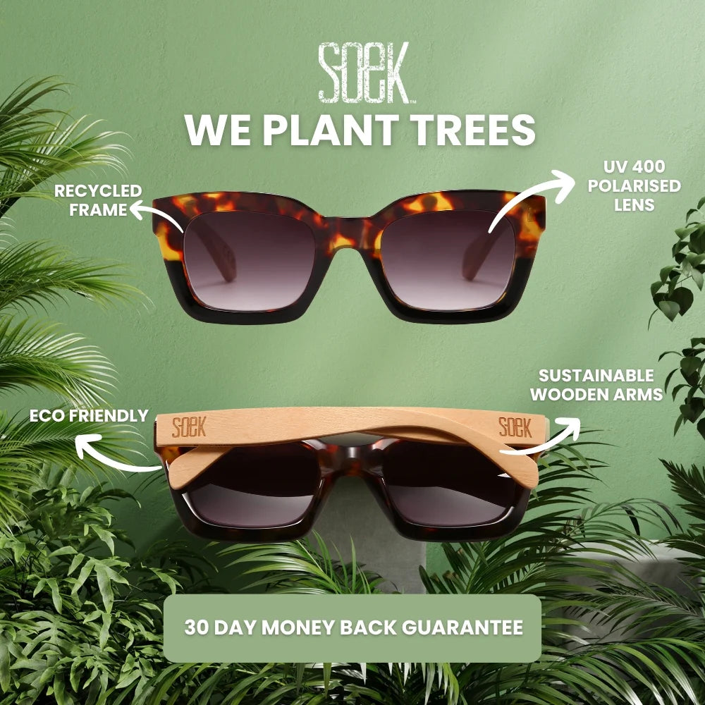SOEK STRAY Moss l Sunglasses l Khaki Lens l White Maple Arms