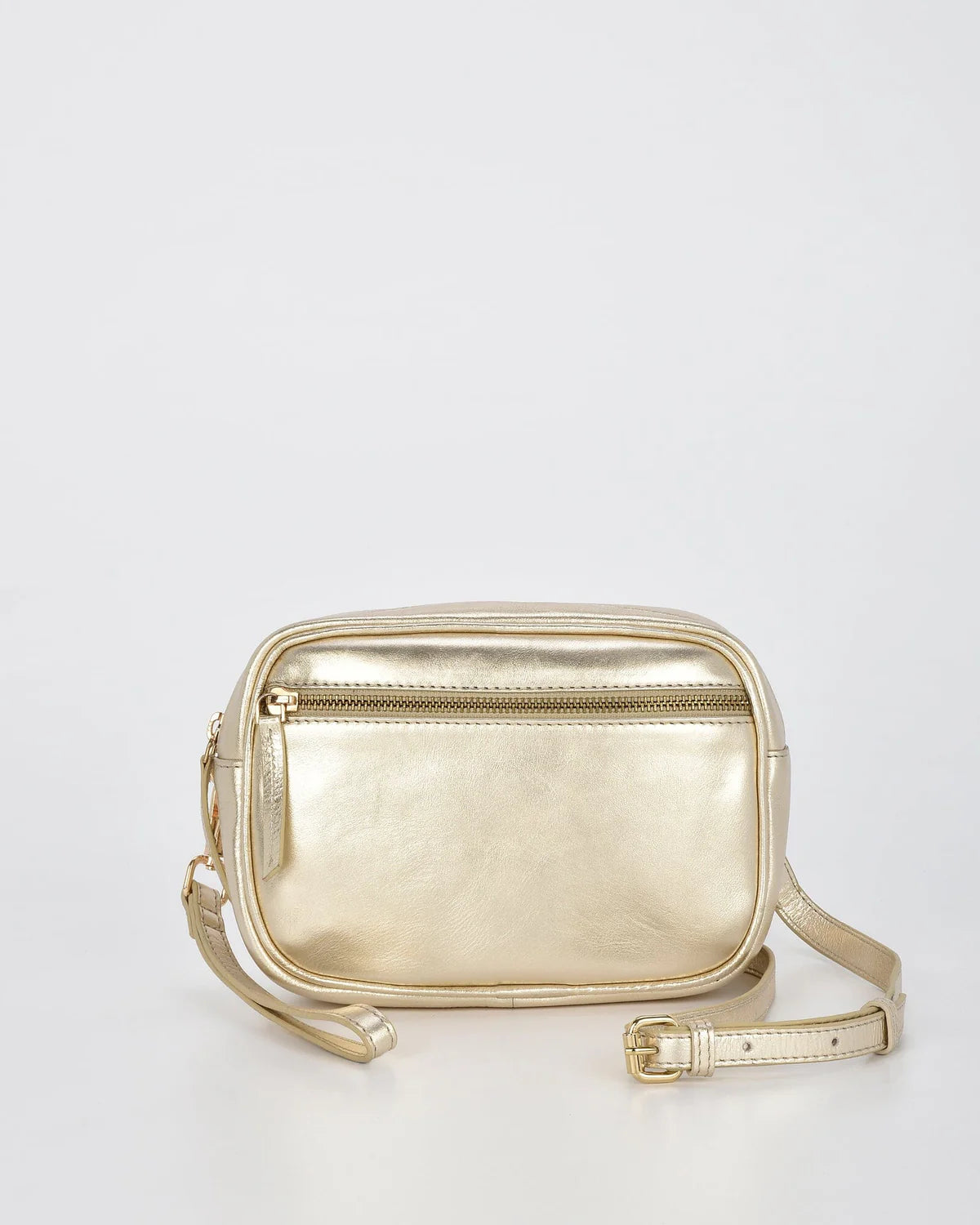 Aurora Champagne Metallic Leather Bag