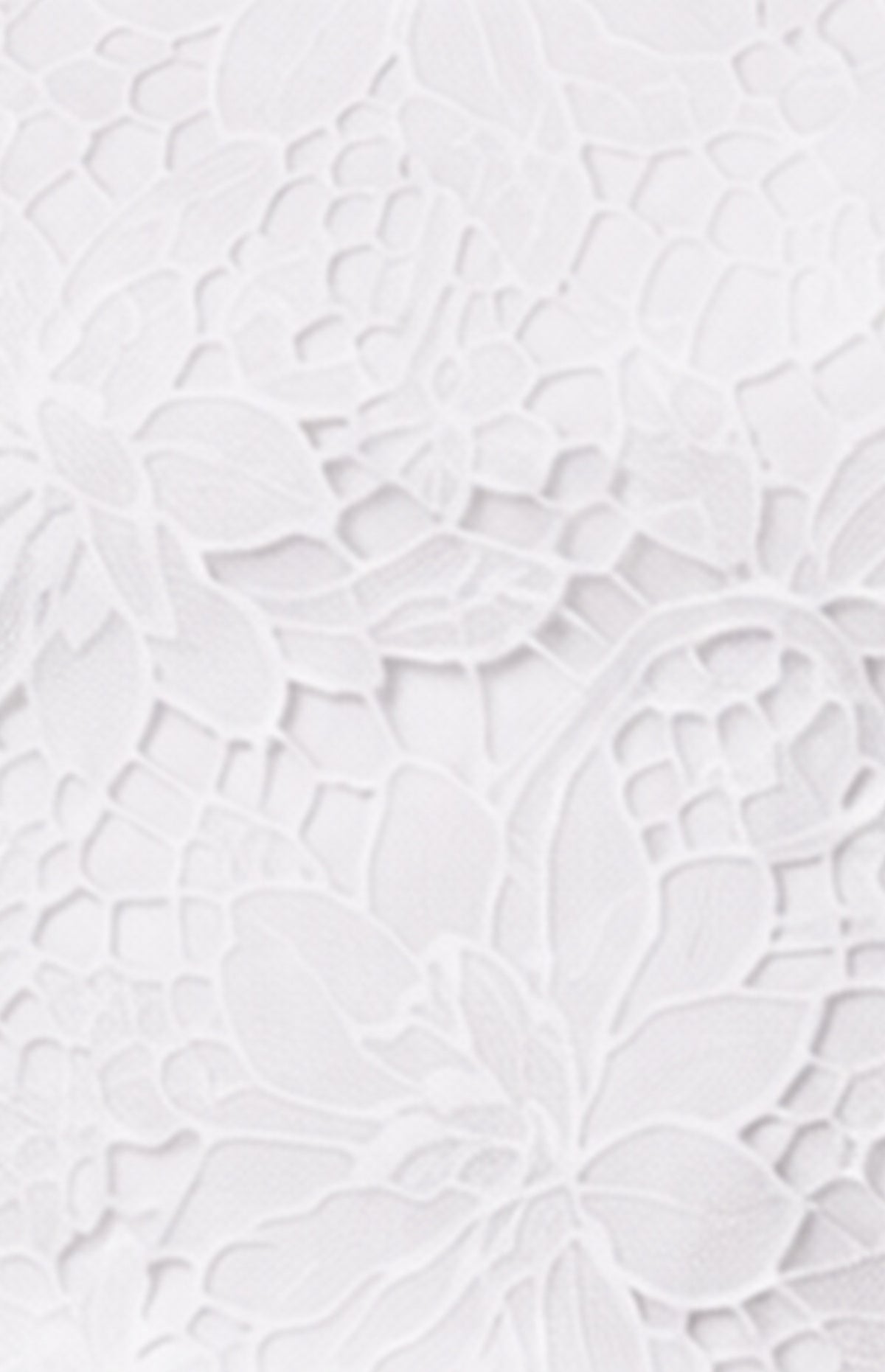 Blase Lace White Top